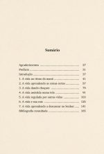 SUMARIO-Esgotamento-e-Descanso